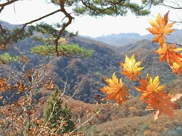 双色球第24123期：头奖开7注781万元 安徽江西各得2注一等奖