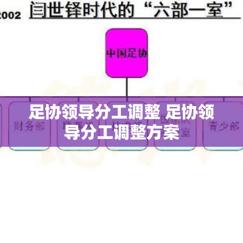 足协领导分工调整 足协领导分工调整方案