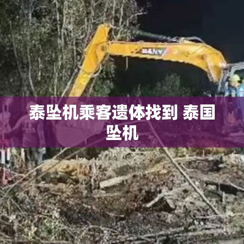 泰坠机乘客遗体找到 泰国坠机