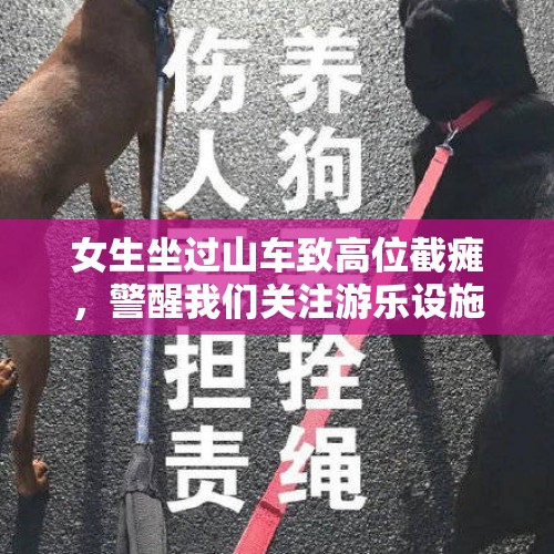 女生坐过山车致高位截瘫，警醒我们关注游乐设施安全与风险意识