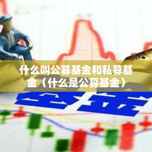 什么叫公募基金和私募基金（什么是公募基金）