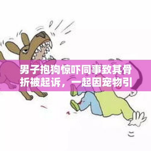 男子抱狗惊吓同事致其骨折被起诉，一起因宠物引发的法律案件