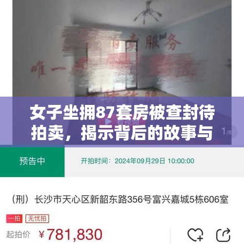 女子坐拥87套房被查封待拍卖，揭示背后的故事与启示