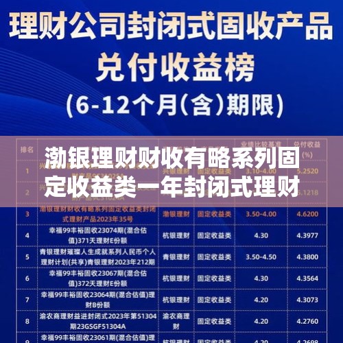 渤银理财财收有略系列固定收益类一年封闭式理财产品2024年81号26日起发行