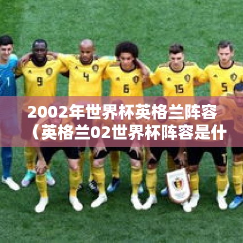 2002年世界杯英格兰阵容（英格兰02世界杯阵容是什么）