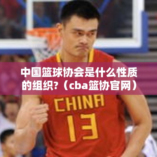 中国篮球协会是什么性质的组织?（cba篮协官网）