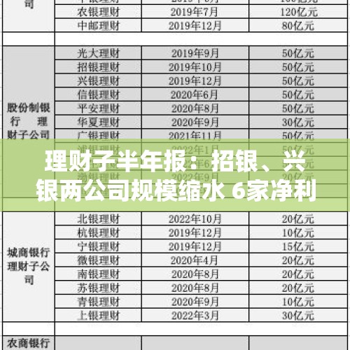 理财子半年报：招银、兴银两公司规模缩水 6家净利润超10亿