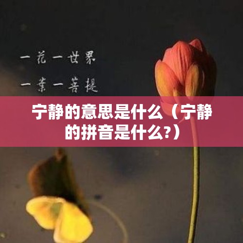 宁静的意思是什么（宁静的拼音是什么?）