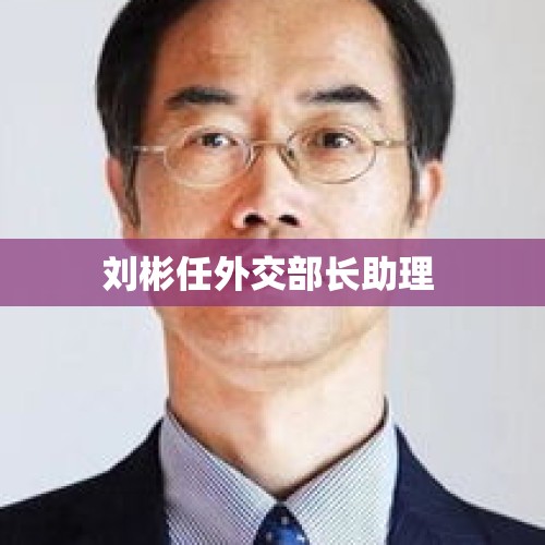 刘彬任外交部长助理 