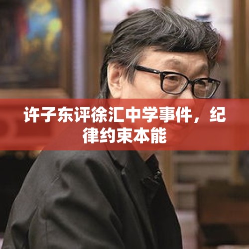 许子东评徐汇中学事件，纪律约束本能