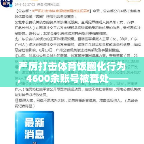 严厉打击体育饭圈化行为，4600余账号被查处——重塑体育精神的正义行动