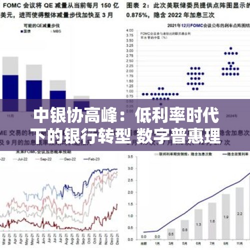 中银协高峰：低利率时代下的银行转型 数字普惠理财将是主要方向之一