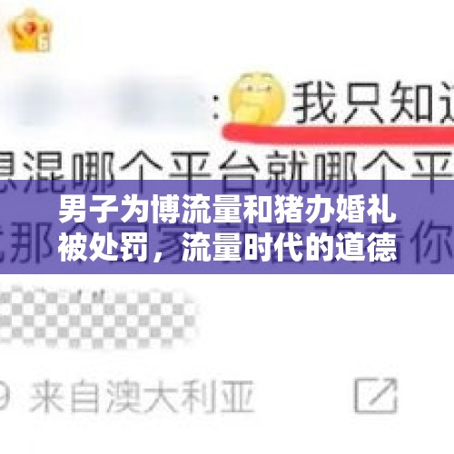 男子为博流量和猪办婚礼被处罚，流量时代的道德边界与社会责任