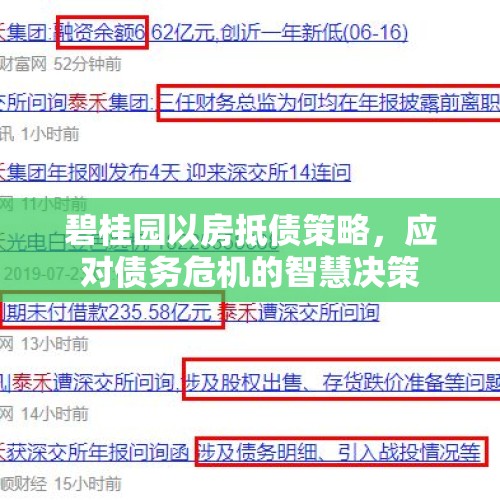 碧桂园以房抵债策略，应对债务危机的智慧决策