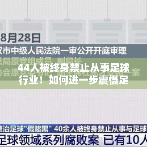 44人被终身禁止从事足球行业！如何进一步震慑足球“假赌黑”？