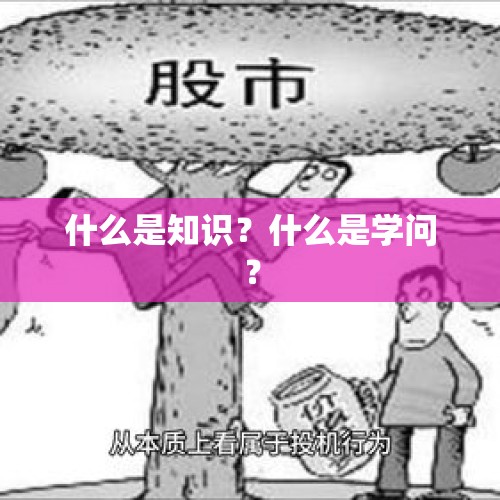 什么是知识？什么是学问？