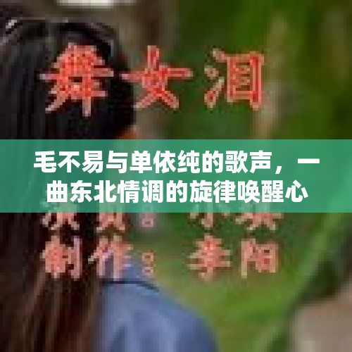 毛不易与单依纯的歌声，一曲东北情调的旋律唤醒心灵之旅