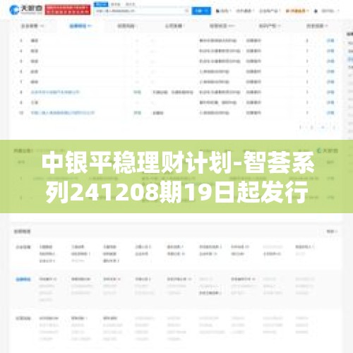 中银平稳理财计划-智荟系列241208期19日起发行