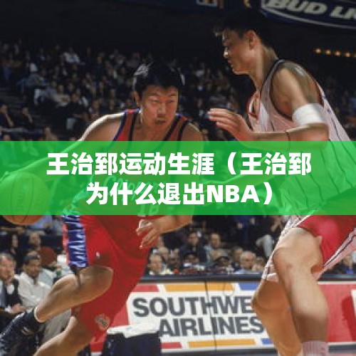 王治郅运动生涯（王治郅为什么退出NBA）