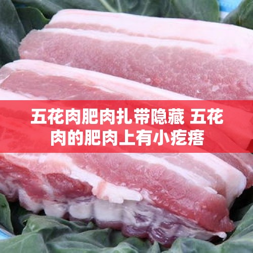 五花肉肥肉扎带隐藏 五花肉的肥肉上有小疙瘩