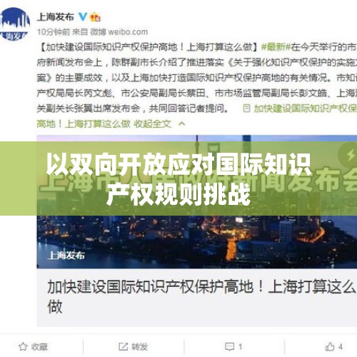 以双向开放应对国际知识产权规则挑战