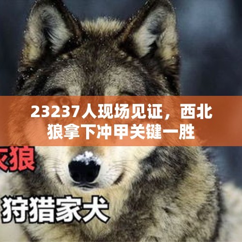 23237人现场见证，西北狼拿下冲甲关键一胜