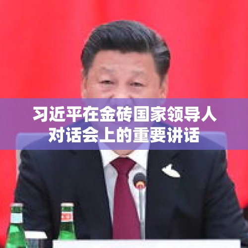 习近平在金砖国家领导人对话会上的重要讲话