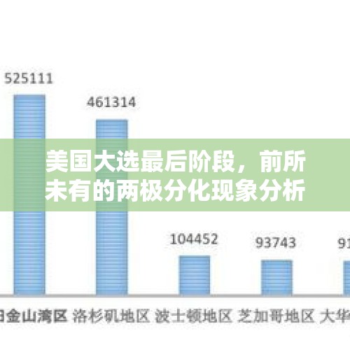 美国大选最后阶段，前所未有的两极分化现象分析