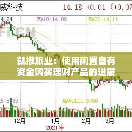 凯撒旅业：使用闲置自有资金购买理财产品的进展