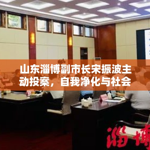 山东淄博副市长宋振波主动投案，自我净化与社会正义的展现