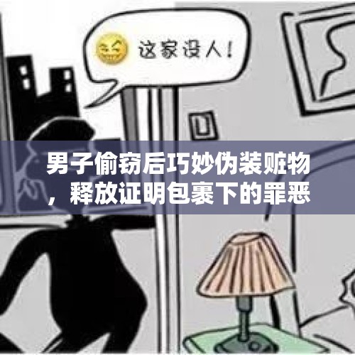 男子偷窃后巧妙伪装赃物，释放证明包裹下的罪恶真相