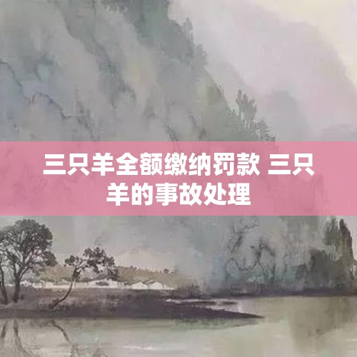 三只羊全额缴纳罚款 三只羊的事故处理