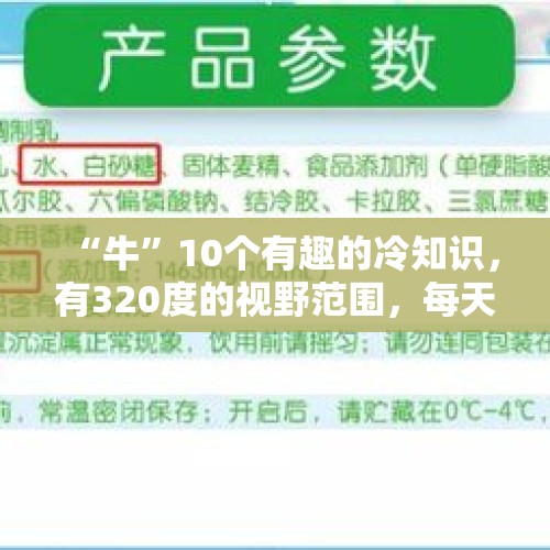 “牛”10个有趣的冷知识，有320度的视野范围，每天产生100升唾液