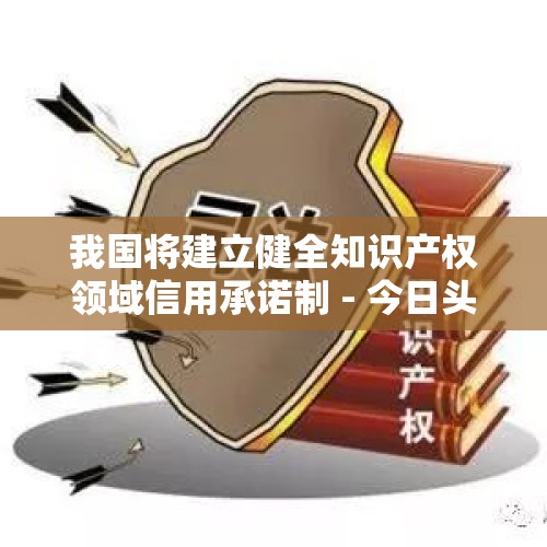 我国将建立健全知识产权领域信用承诺制 - 今日头条