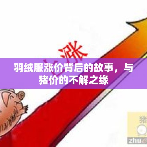 羽绒服涨价背后的故事，与猪价的不解之缘