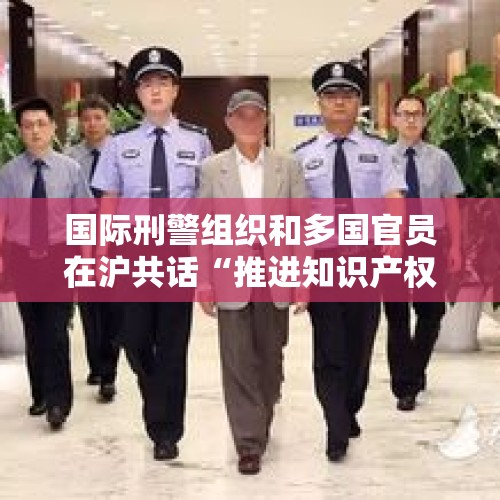 国际刑警组织和多国官员在沪共话“推进知识产权保护国际合作” - 今日头条