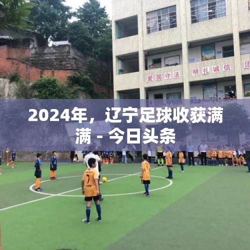 2024年，辽宁足球收获满满 - 今日头条