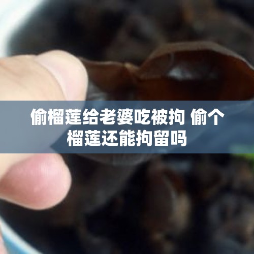 偷榴莲给老婆吃被拘 偷个榴莲还能拘留吗