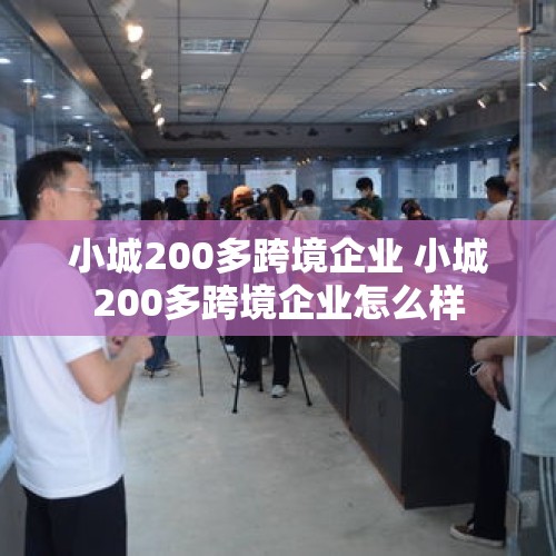 小城200多跨境企业 小城200多跨境企业怎么样