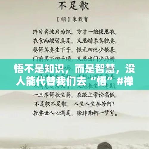 悟不是知识，而是智慧，没人能代替我们去“悟”#禅宗 - 今日头条