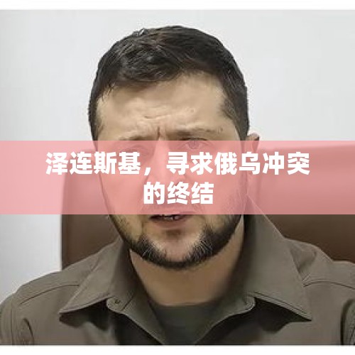 泽连斯基，寻求俄乌冲突的终结