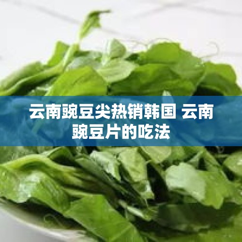 云南豌豆尖热销韩国 云南豌豆片的吃法