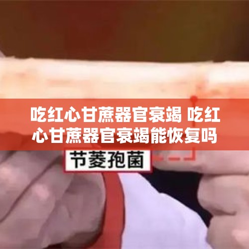 吃红心甘蔗器官衰竭 吃红心甘蔗器官衰竭能恢复吗