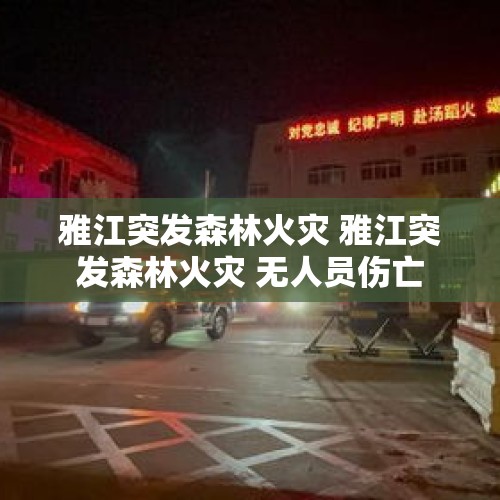 雅江突发森林火灾 雅江突发森林火灾 无人员伤亡