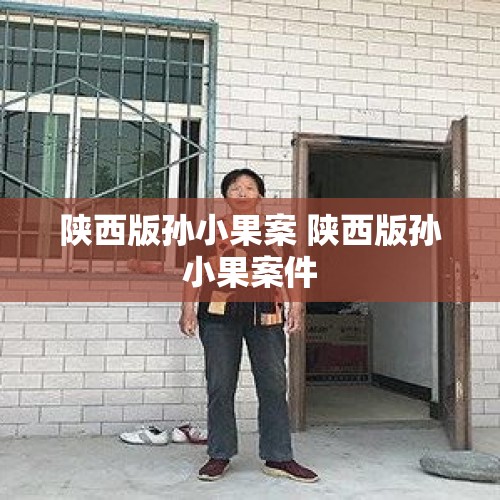 陕西版孙小果案 陕西版孙小果案件