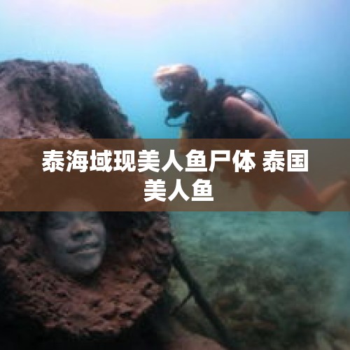 泰海域现美人鱼尸体 泰国 美人鱼