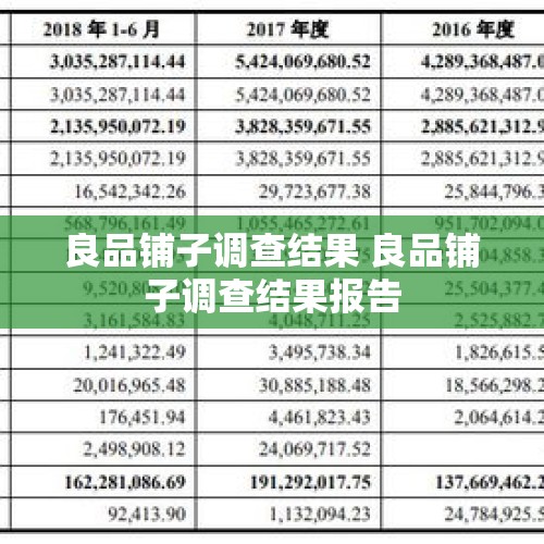 良品铺子调查结果 良品铺子调查结果报告