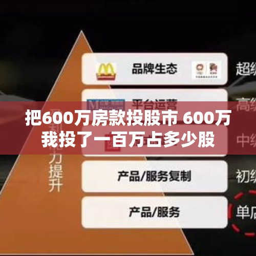 把600万房款投股市 600万我投了一百万占多少股