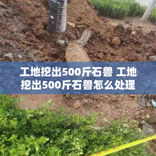 工地挖出500斤石兽 工地挖出500斤石兽怎么处理