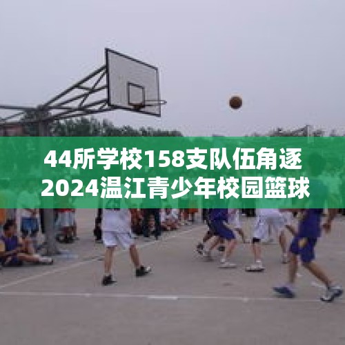 44所学校158支队伍角逐 2024温江青少年校园篮球联赛精彩收官 - 今日头条